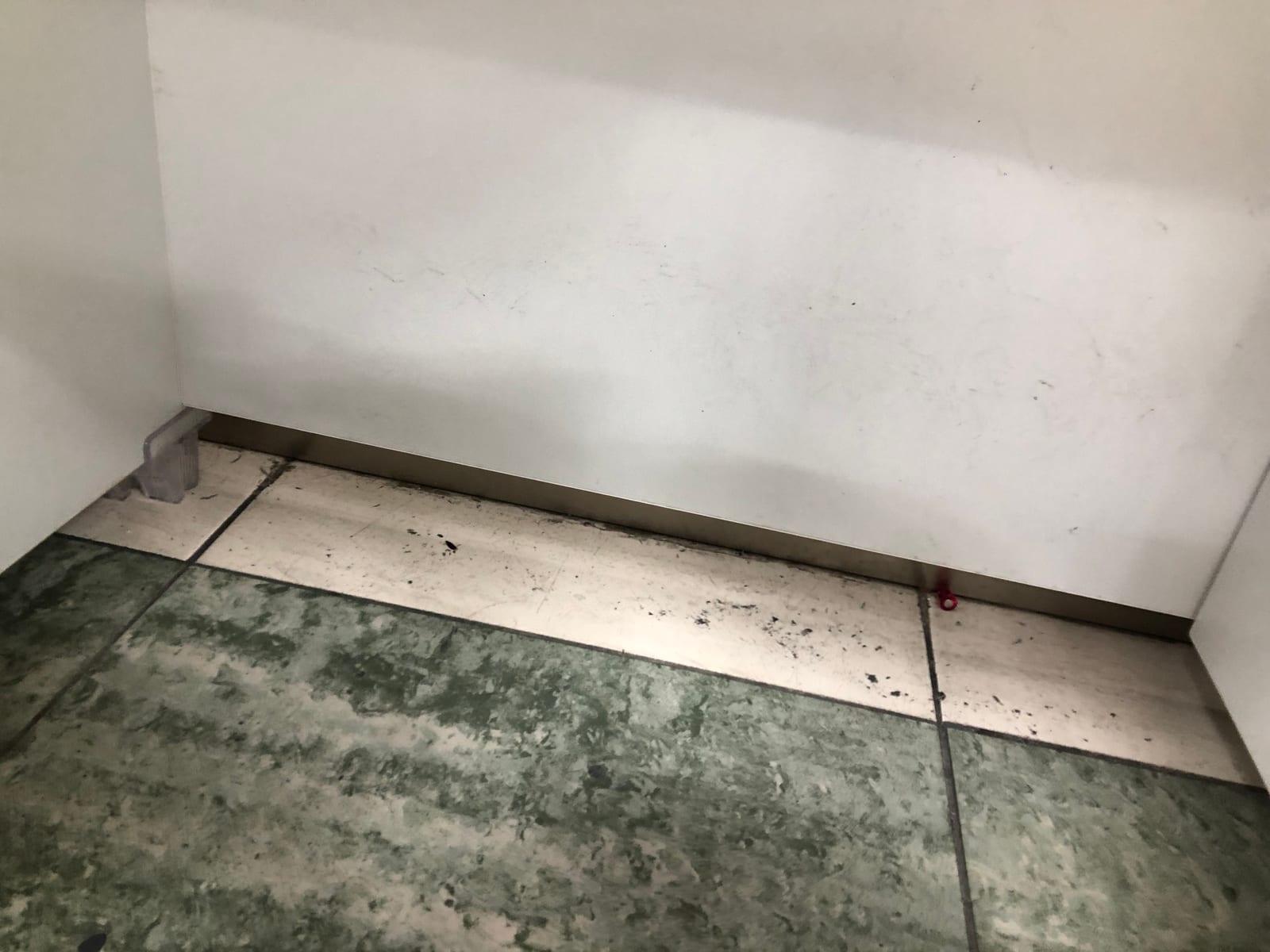 정읍 연지동 카펫청소 시공 사진