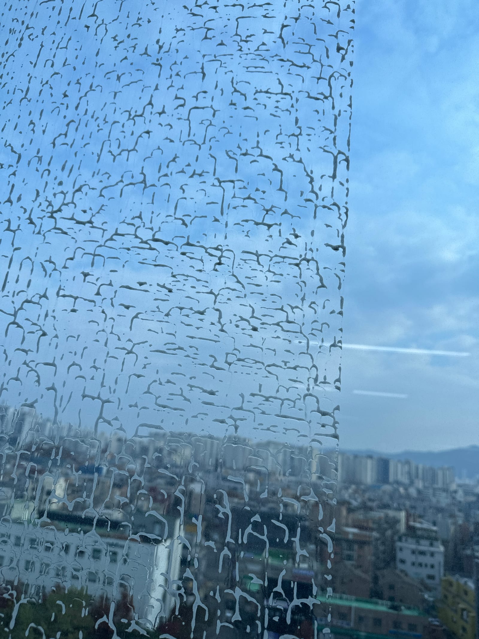 나주 송월동 병원청소 유리 작업 사진